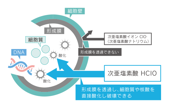 説明図